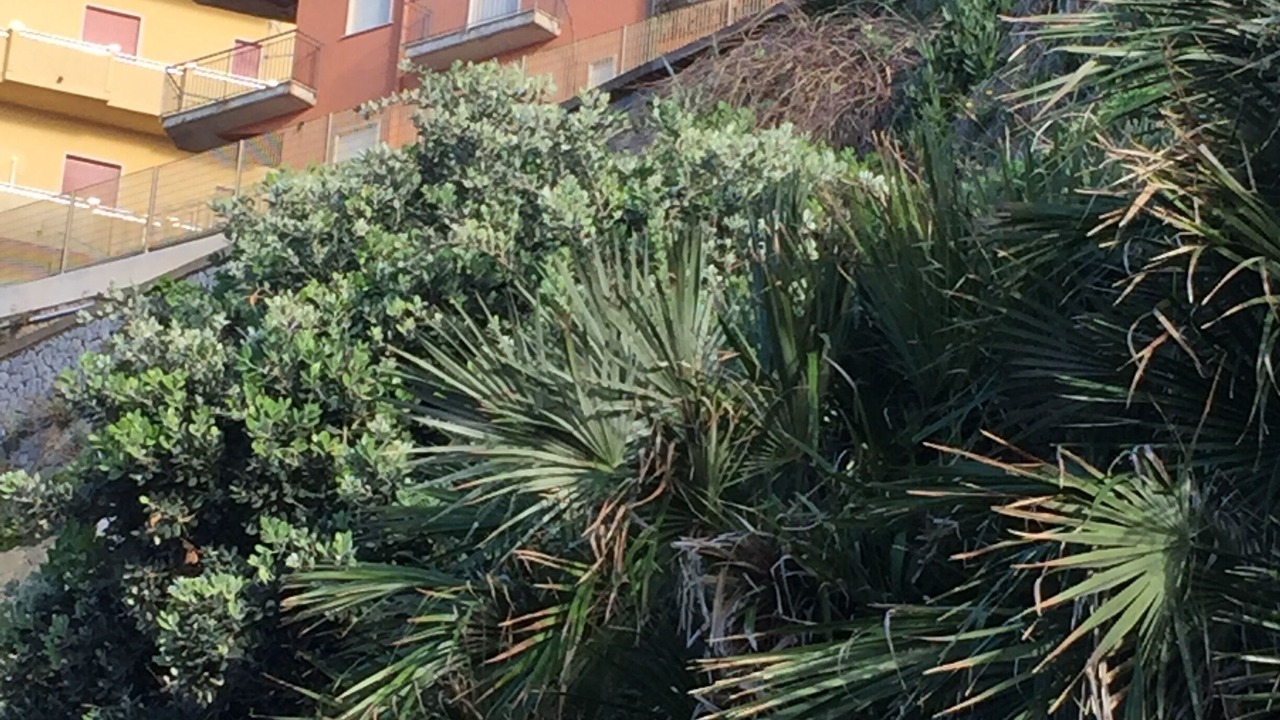 Photo of Outdoor in Balestrate
