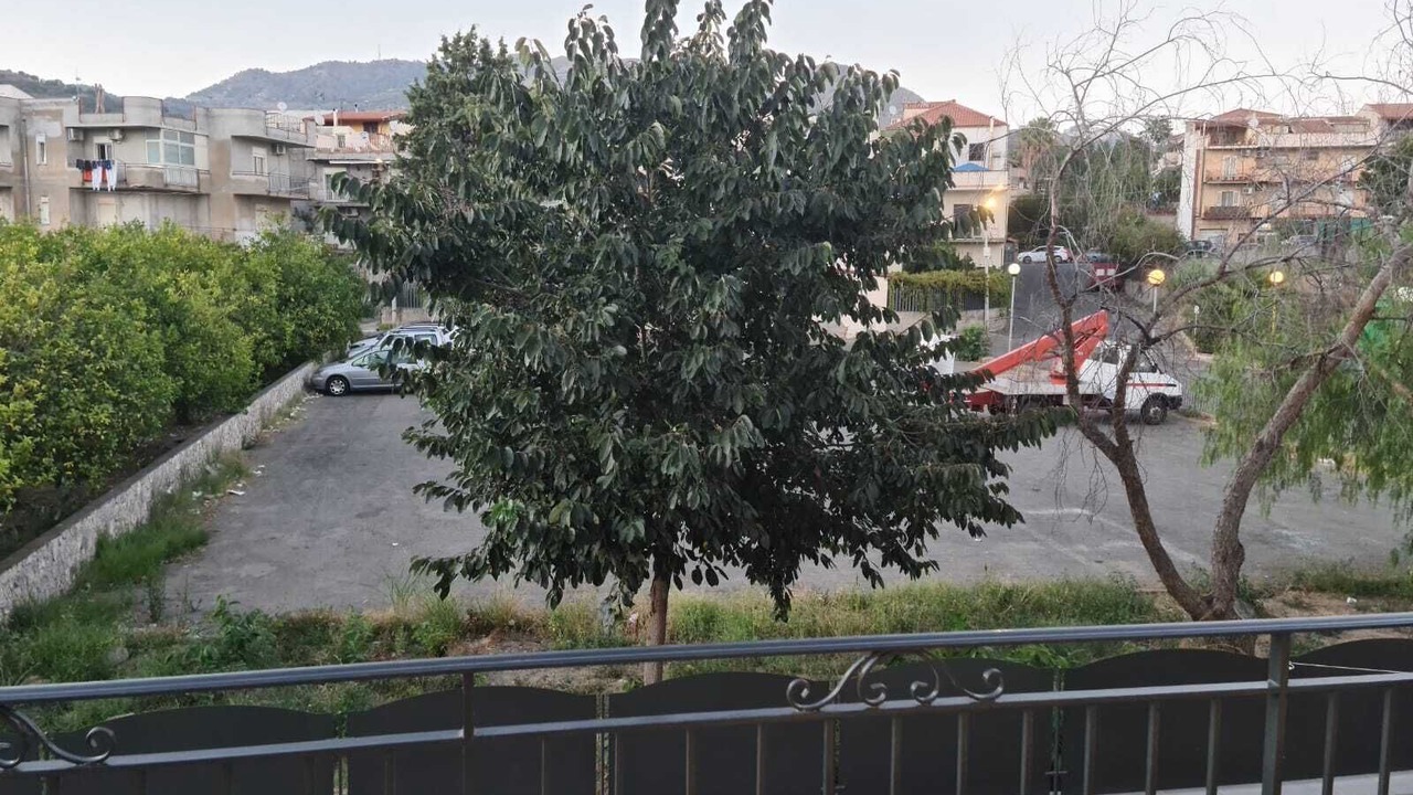 Photo of Outdoor in Trappitello