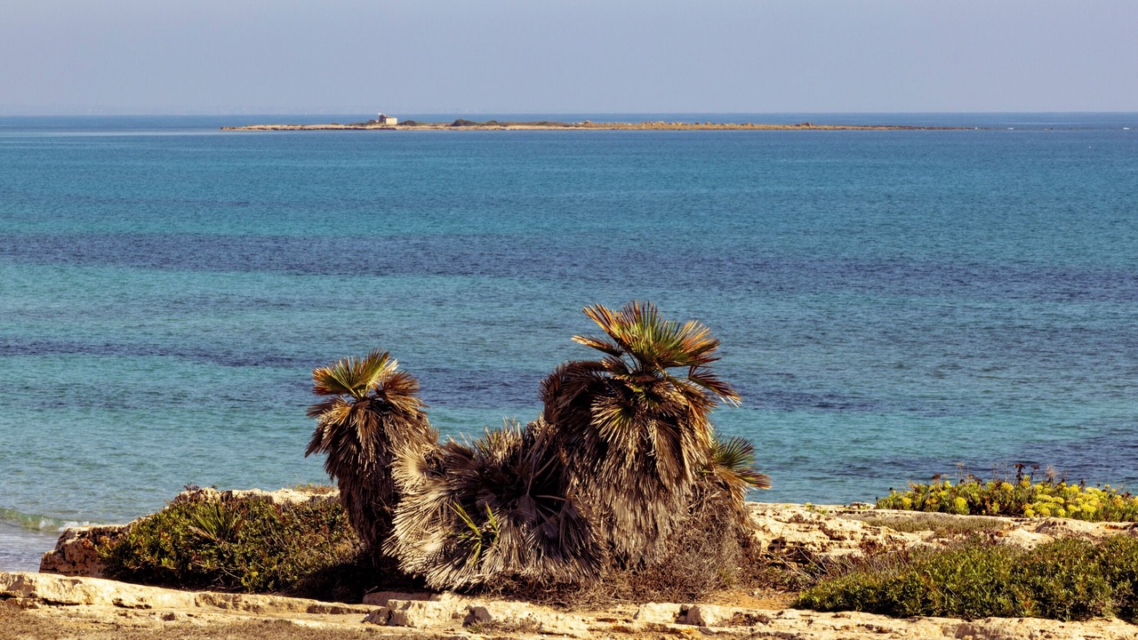 Photo of Others in Pozzallo