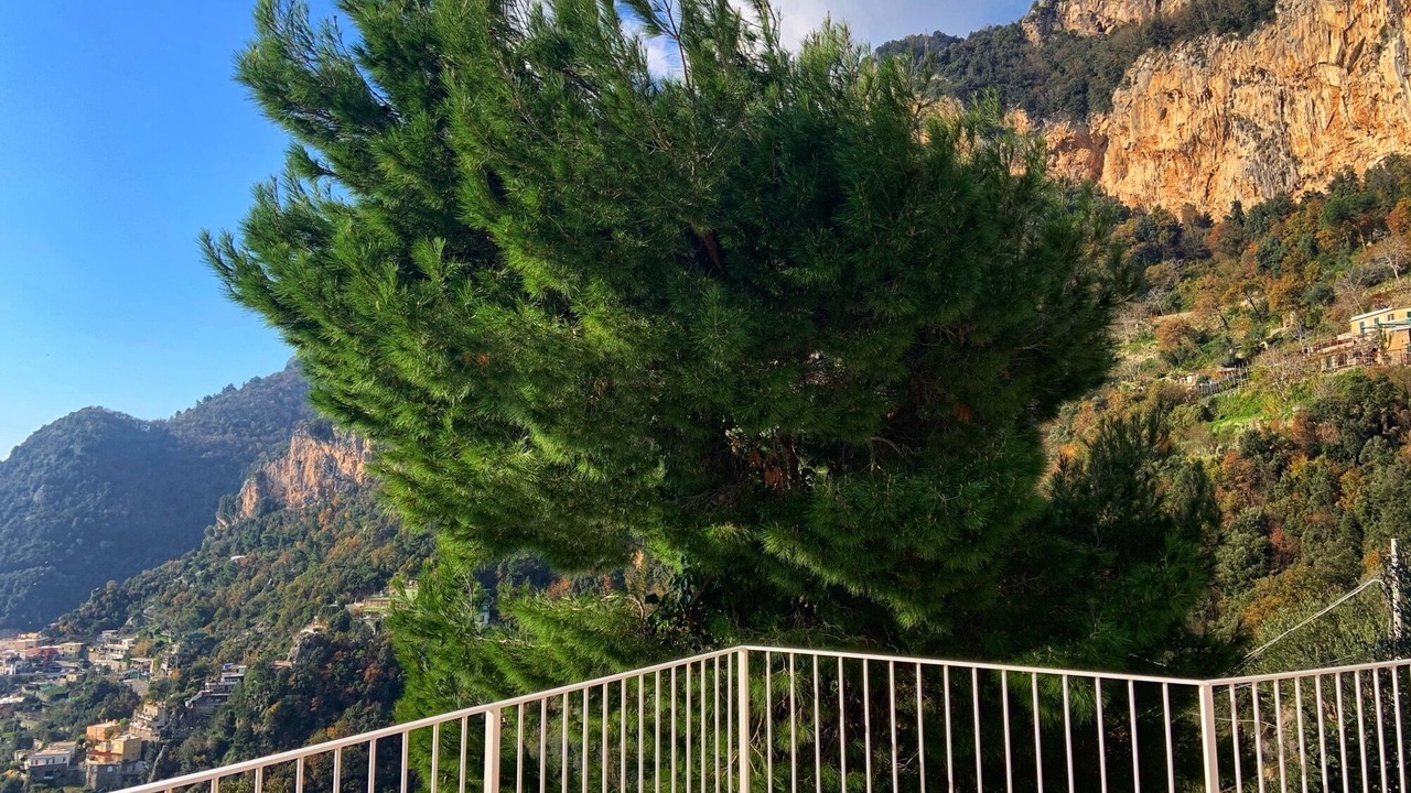 Photo of Outdoor in Montepertuso