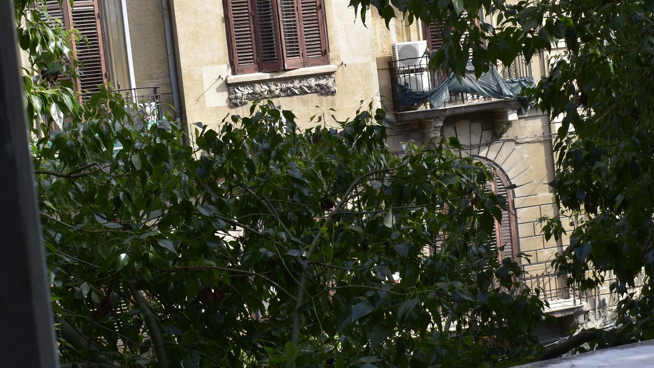 Photo of Outdoor in Albergheria
