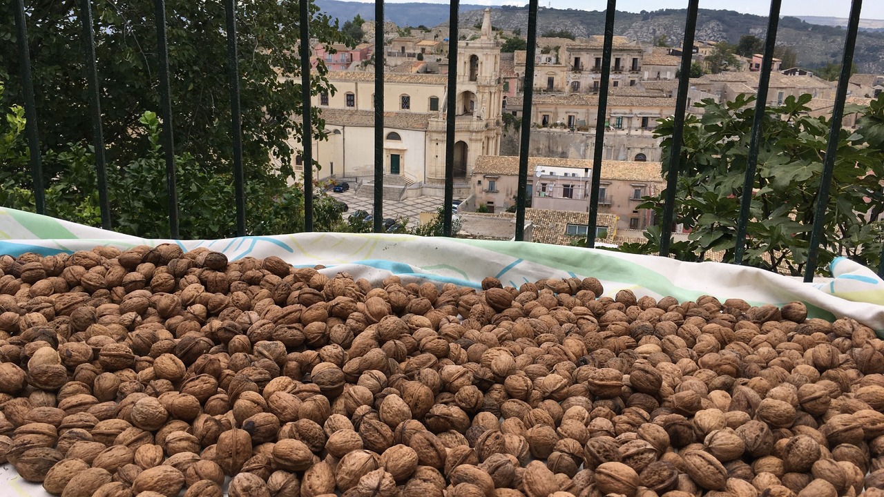 Photo of Outdoor in Palazzolo Acreide Historic Centre