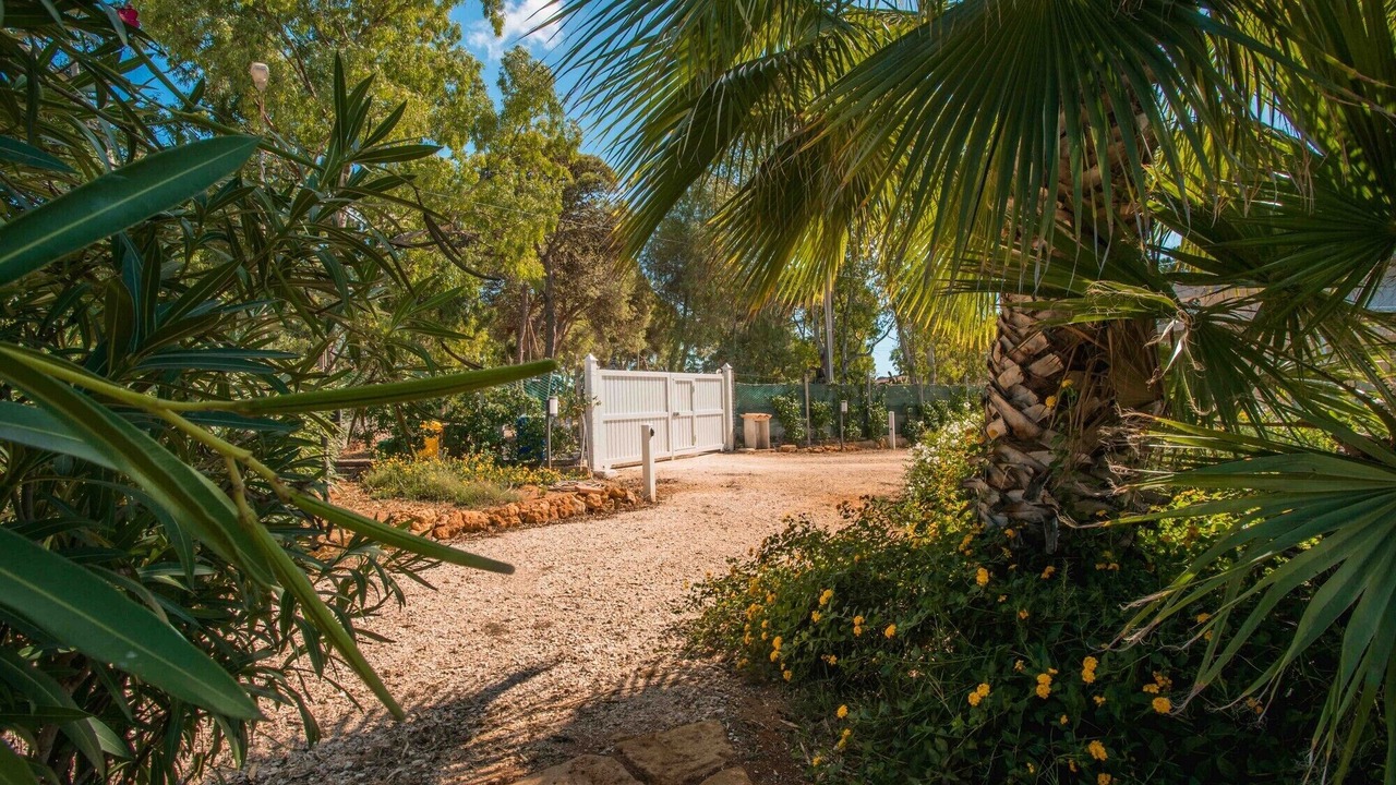 Photo of Outdoor in Montevago