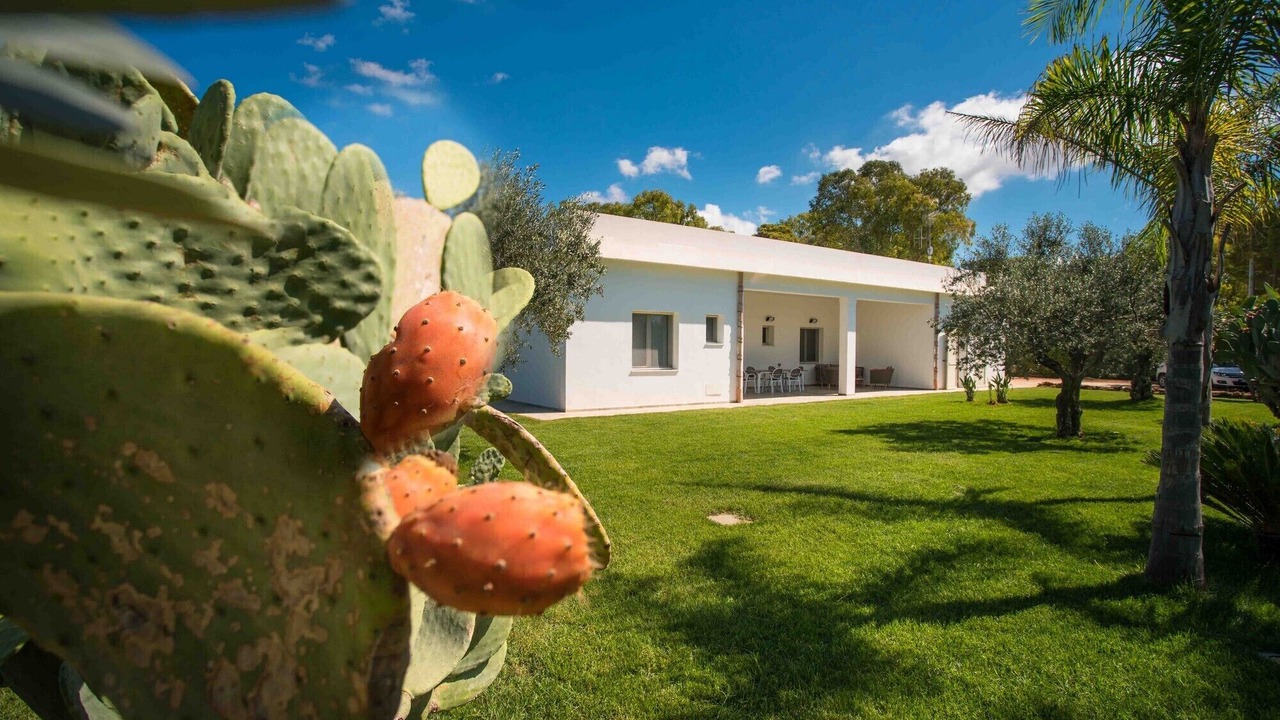 Photo of Outdoor in Montevago