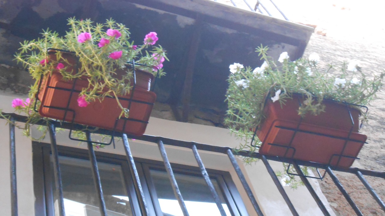 Photo of Outdoor in Castellammare