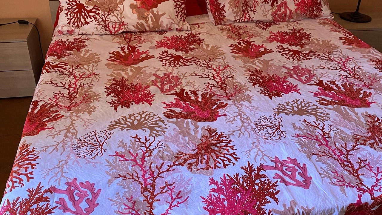 Photo of Bedroom in Scillichenti