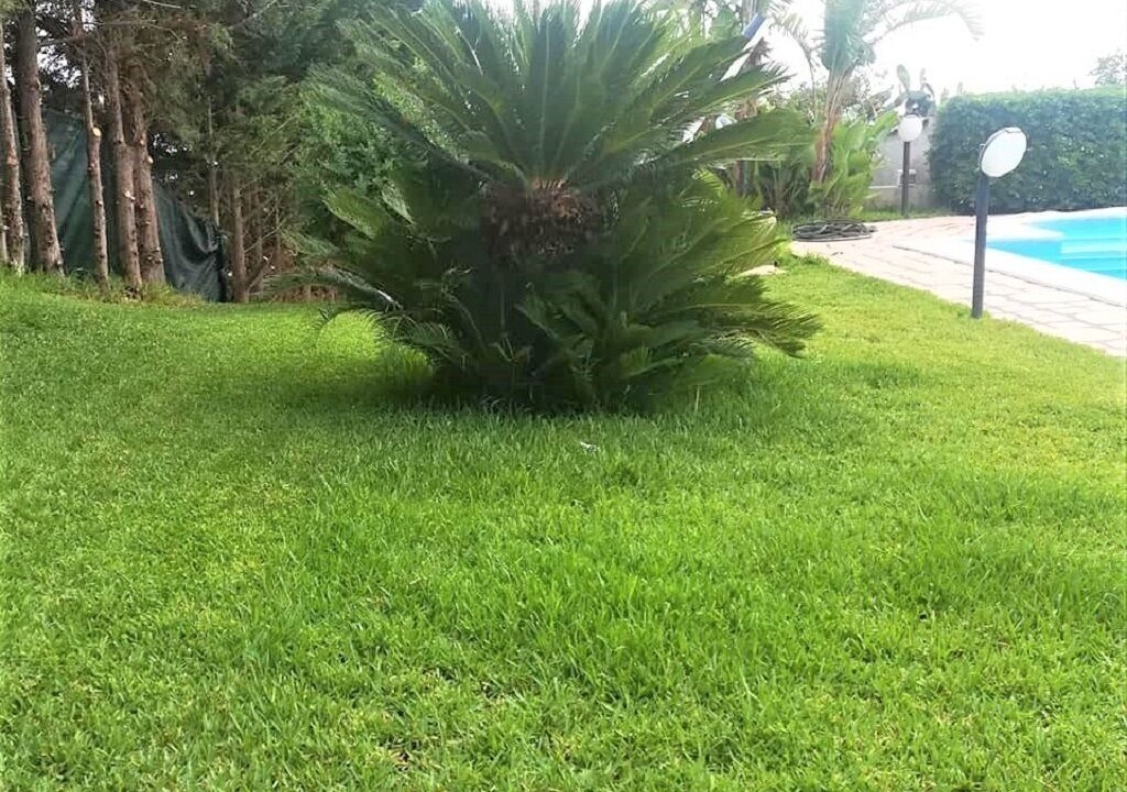 Photo of Outdoor in San Nicola l'Arena