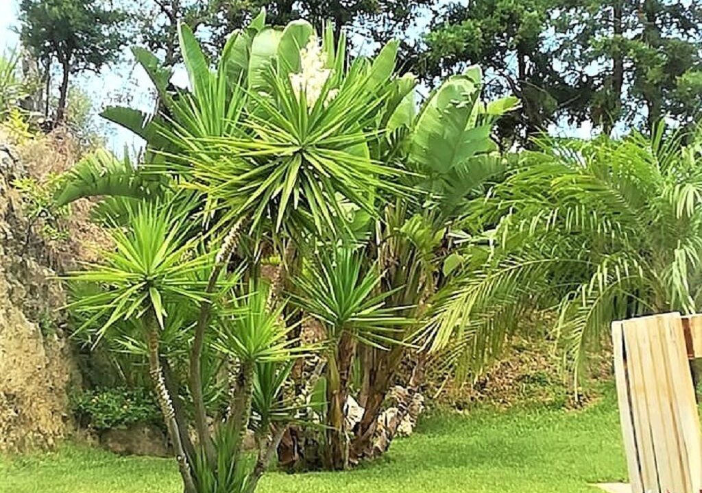 Photo of Outdoor in San Nicola l'Arena