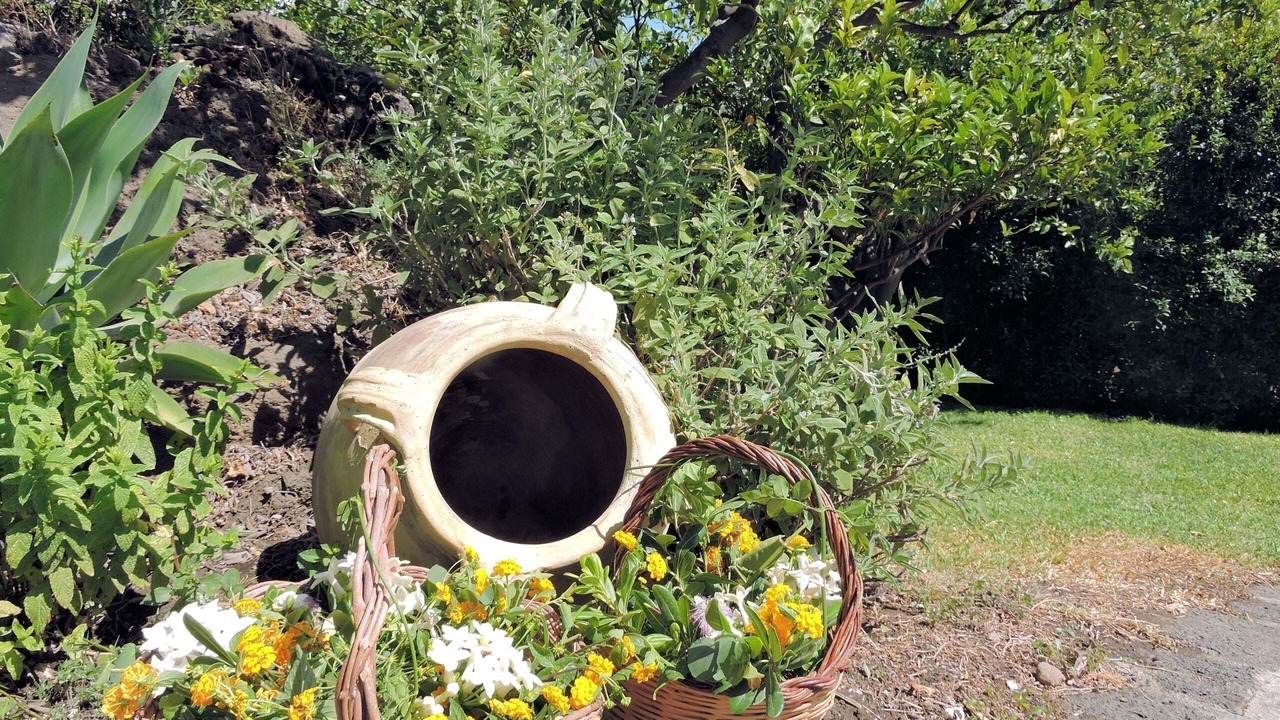 Photo of Outdoor in Santa Tecla