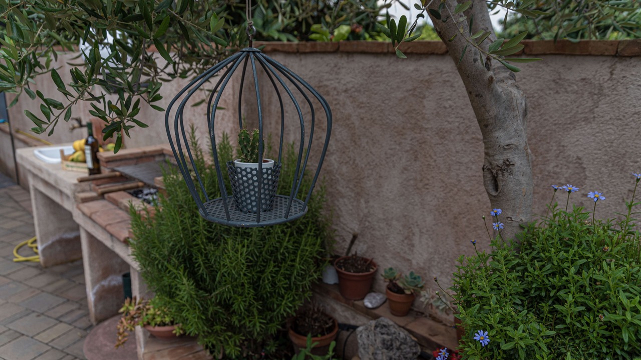 Photo of Outdoor in Scillichenti