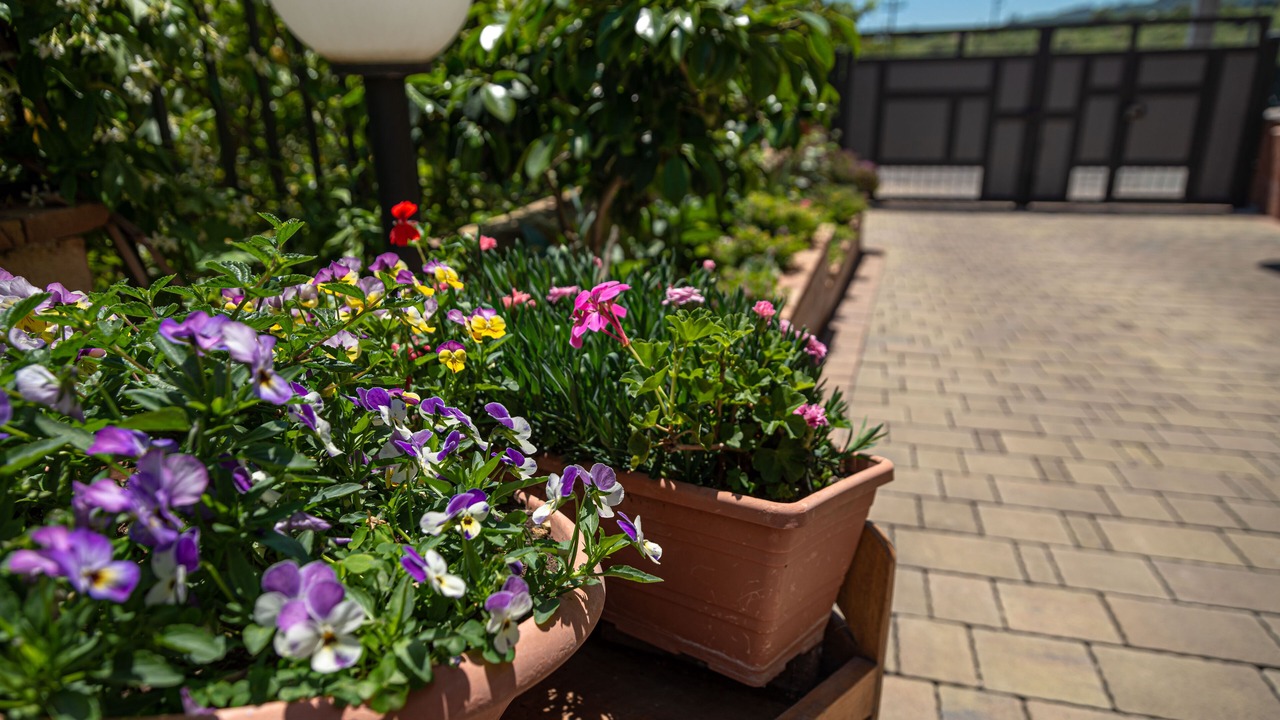 Photo of Outdoor in Scillichenti