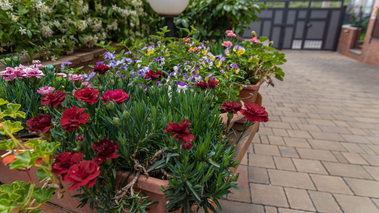 Photo of Outdoor in Scillichenti