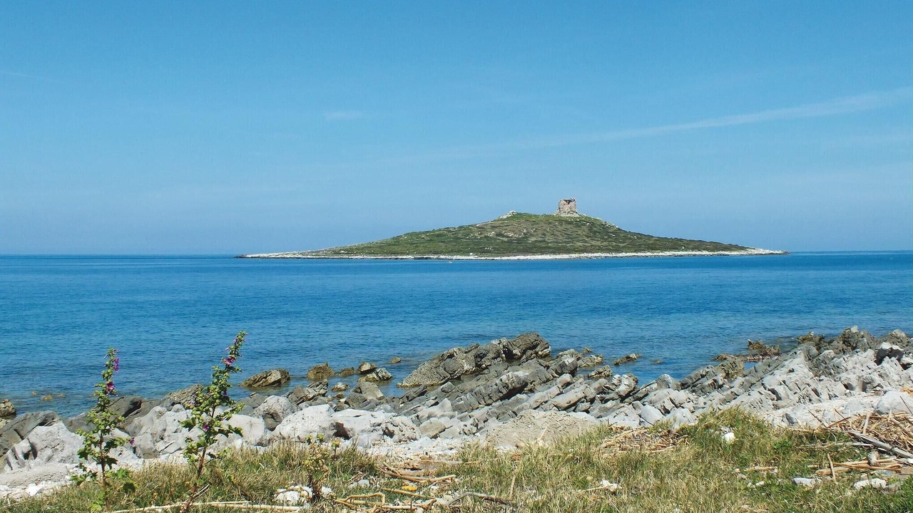 Photo of Others in Isola delle Femmine