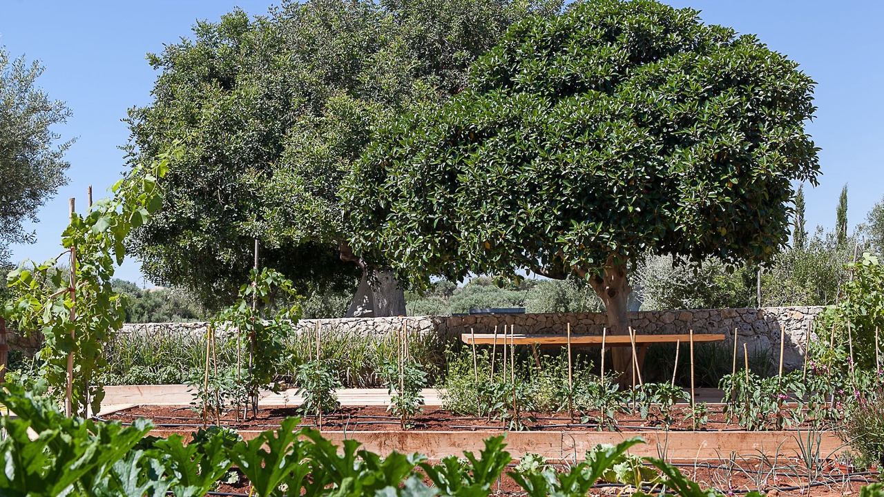 Photo of Outdoor in Avola