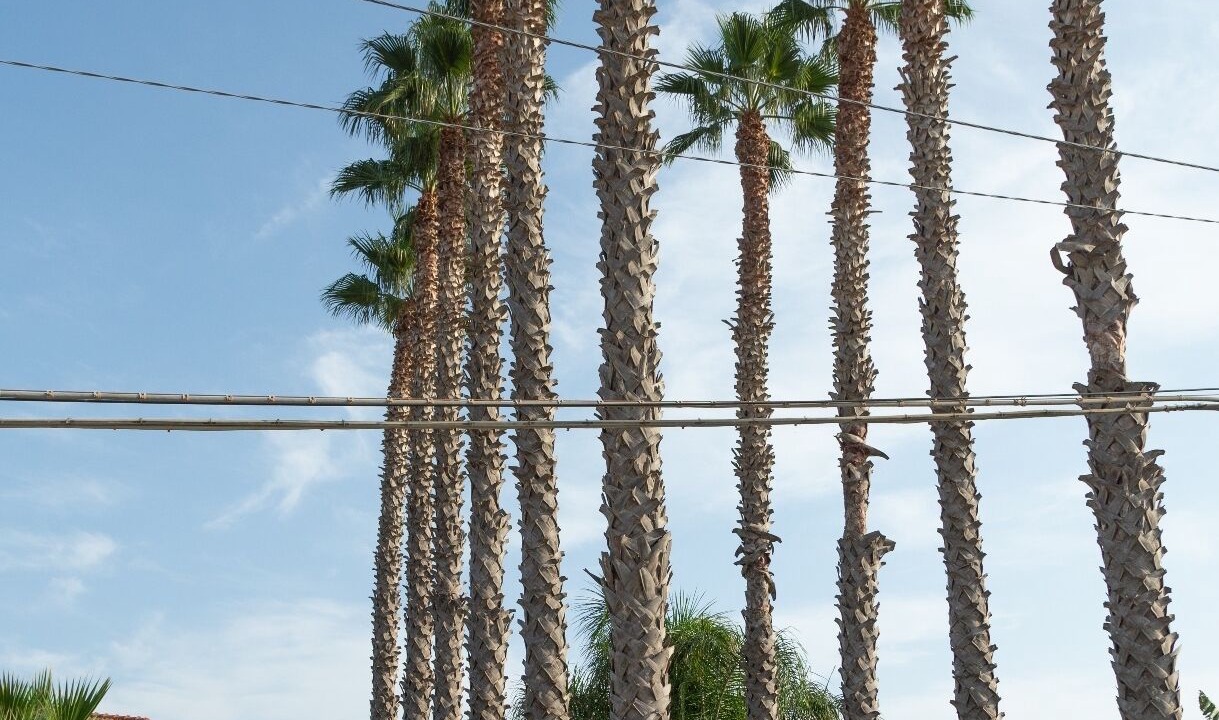 Photo of Outdoor in Cicirata