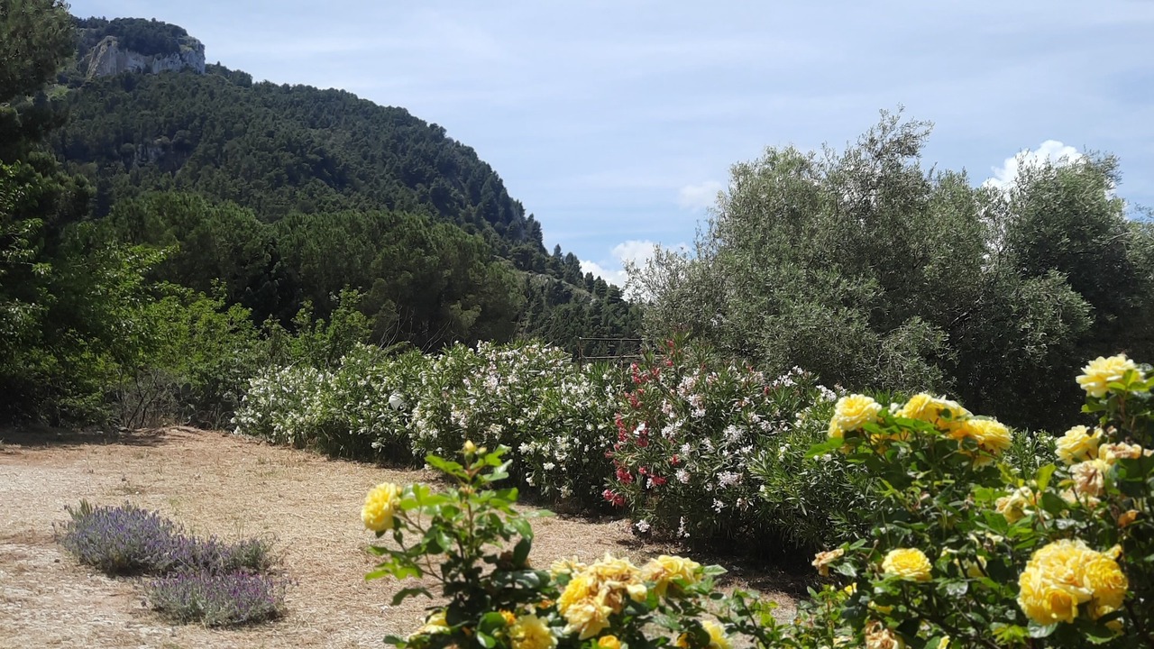 Photo of Outdoor in Caccamo