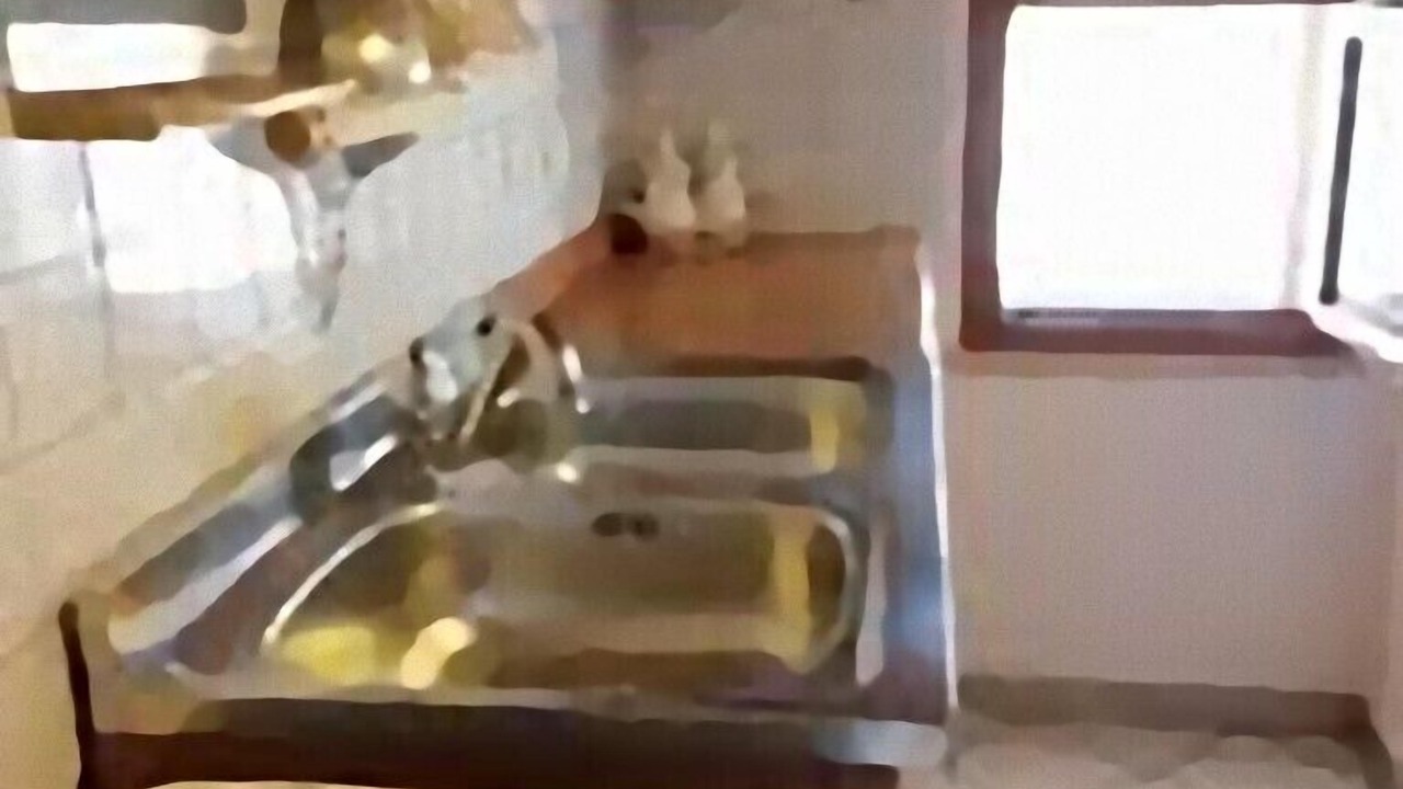 Photo of Kitchen in San Vito Lo Capo