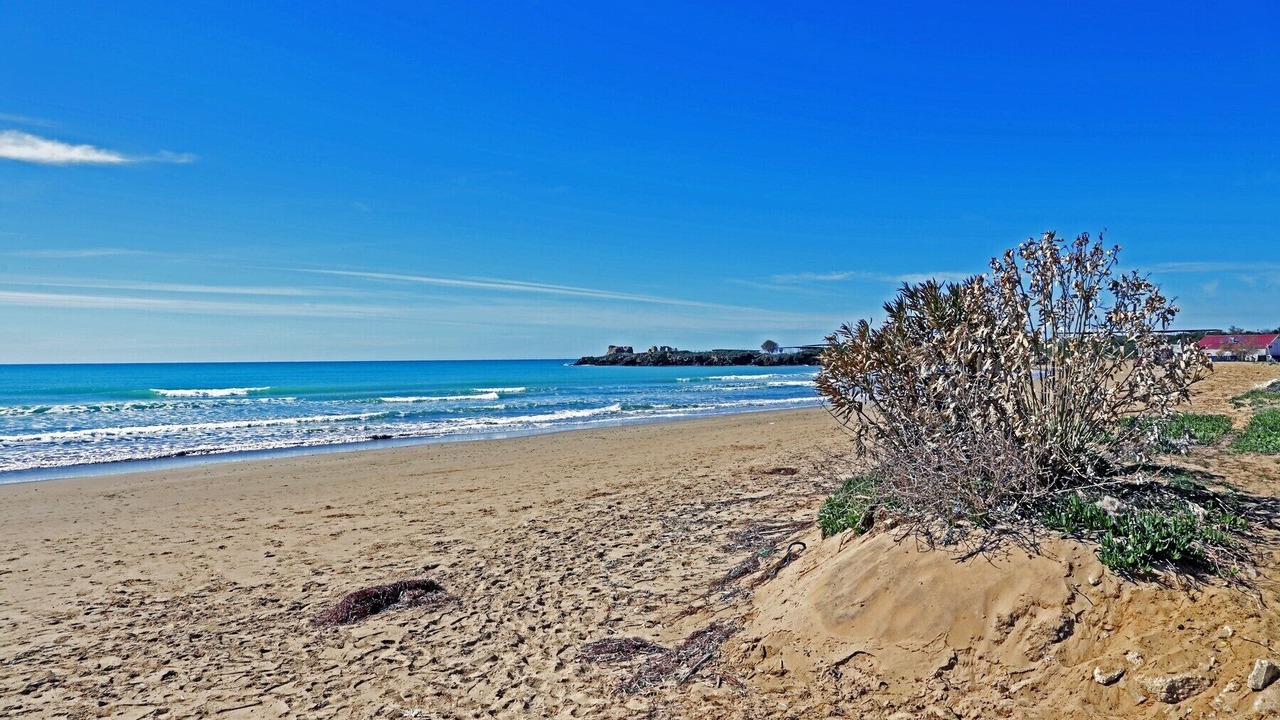 Photo of Others in Punta Braccetto