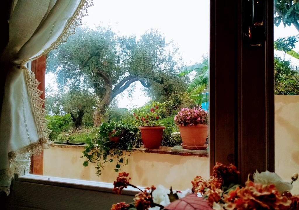 Photo of Others in Termini Imerese