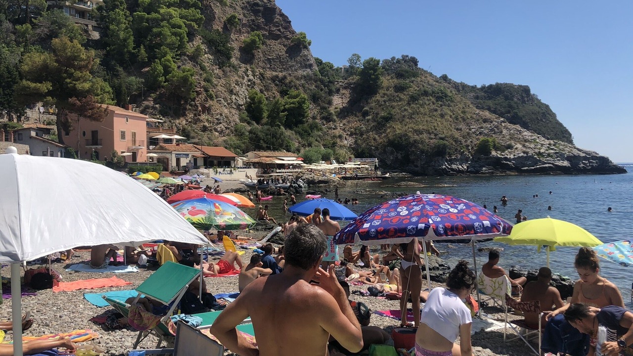 Photo of Others in Mazzaro
