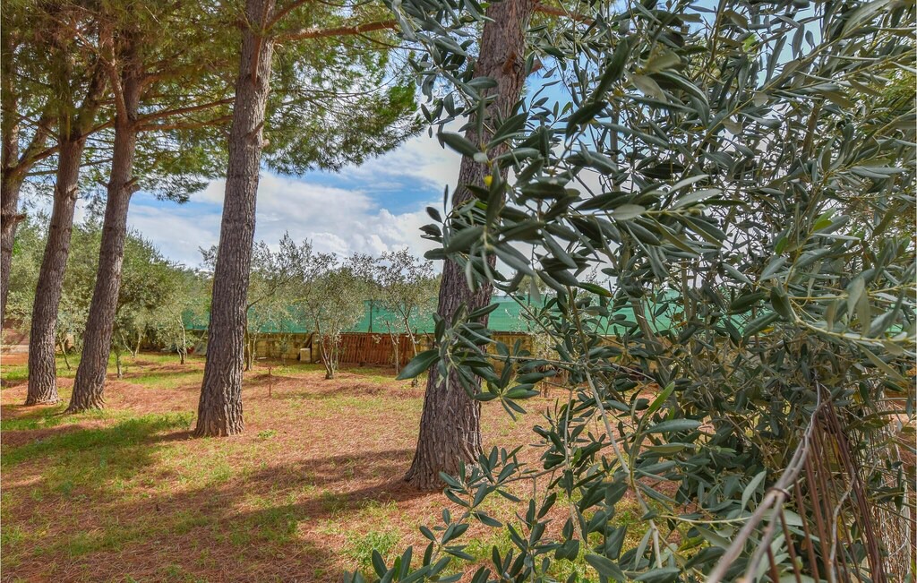 Photo of Outdoor in Vittoria