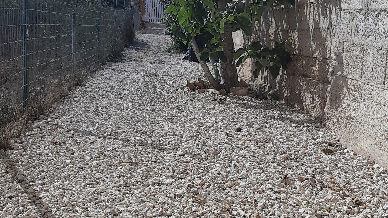 Photo of Outdoor in Lampedusa