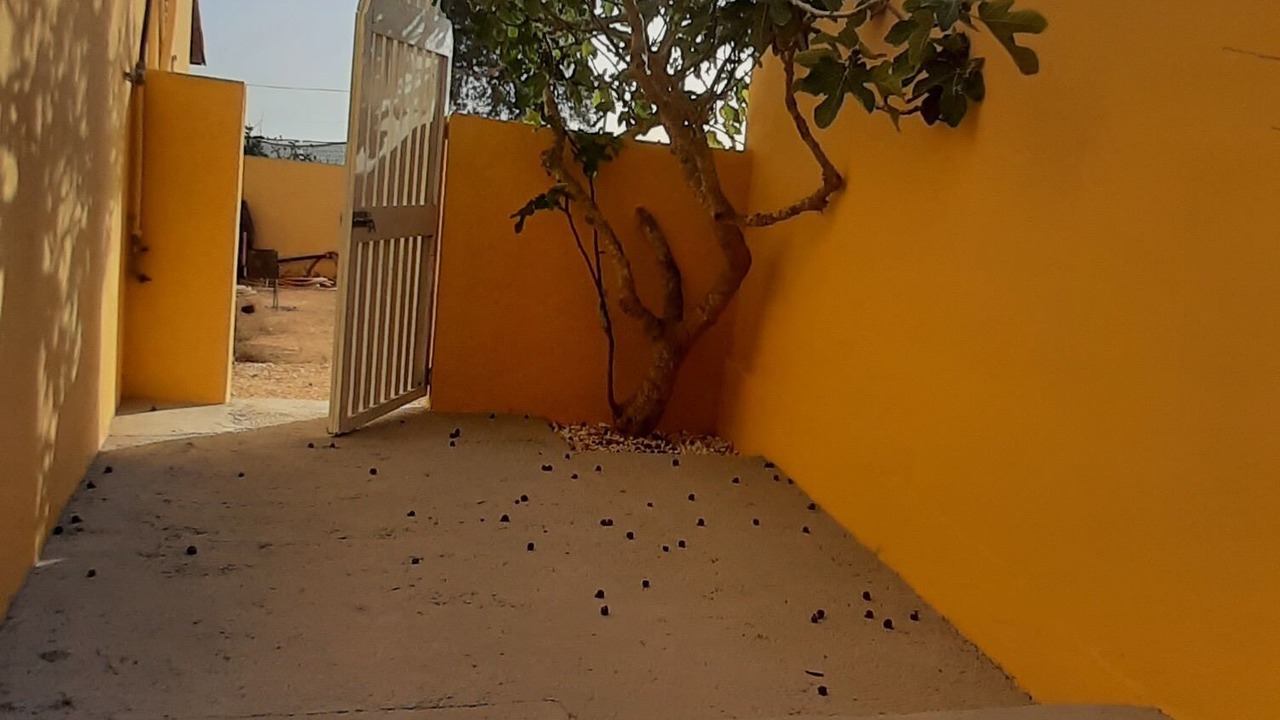 Photo of Outdoor in Lampedusa