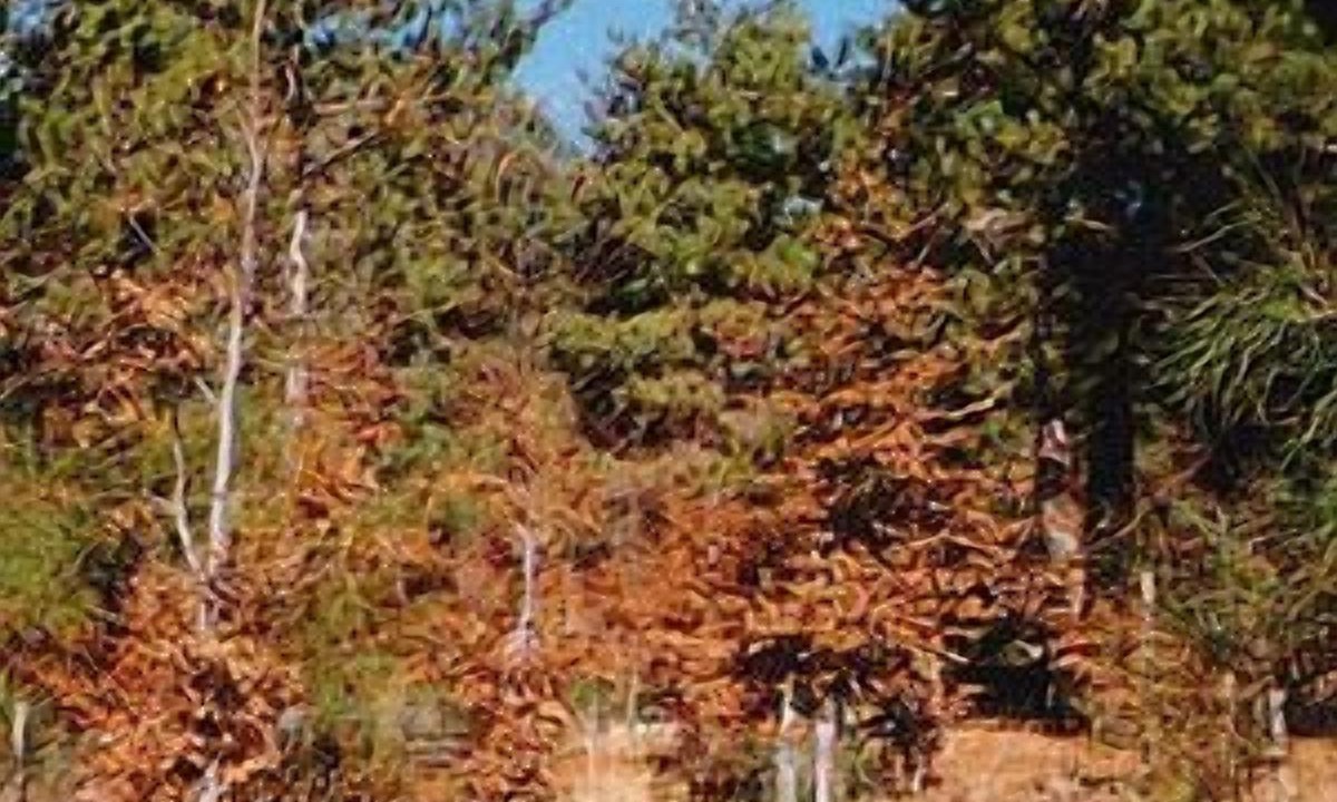 Photo of Outdoor in Ragalna