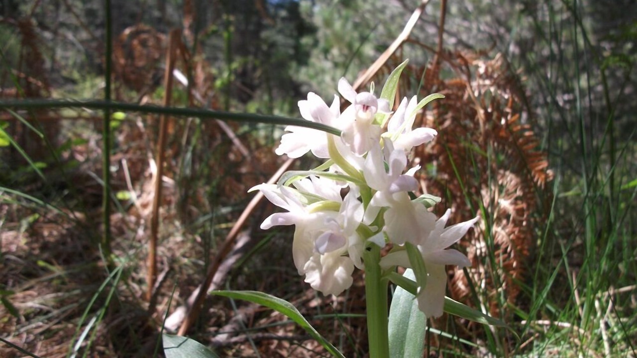 Photo of Outdoor in Ragalna