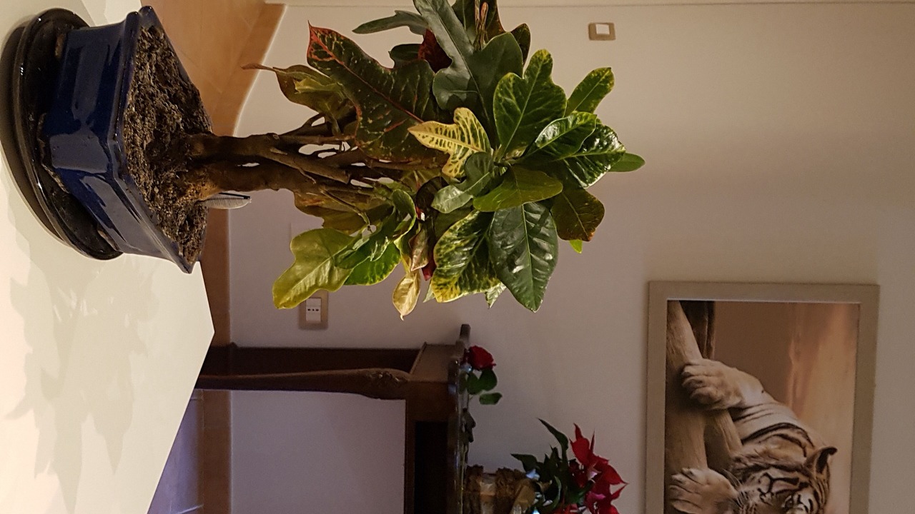 Photo of Others in Santa Elisabetta