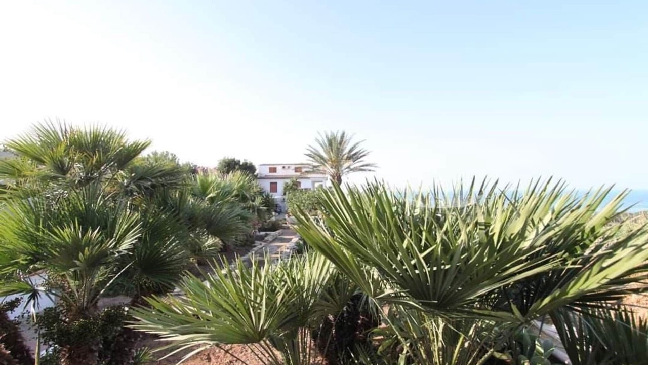 Photo of Others in Marinella di Selinunte