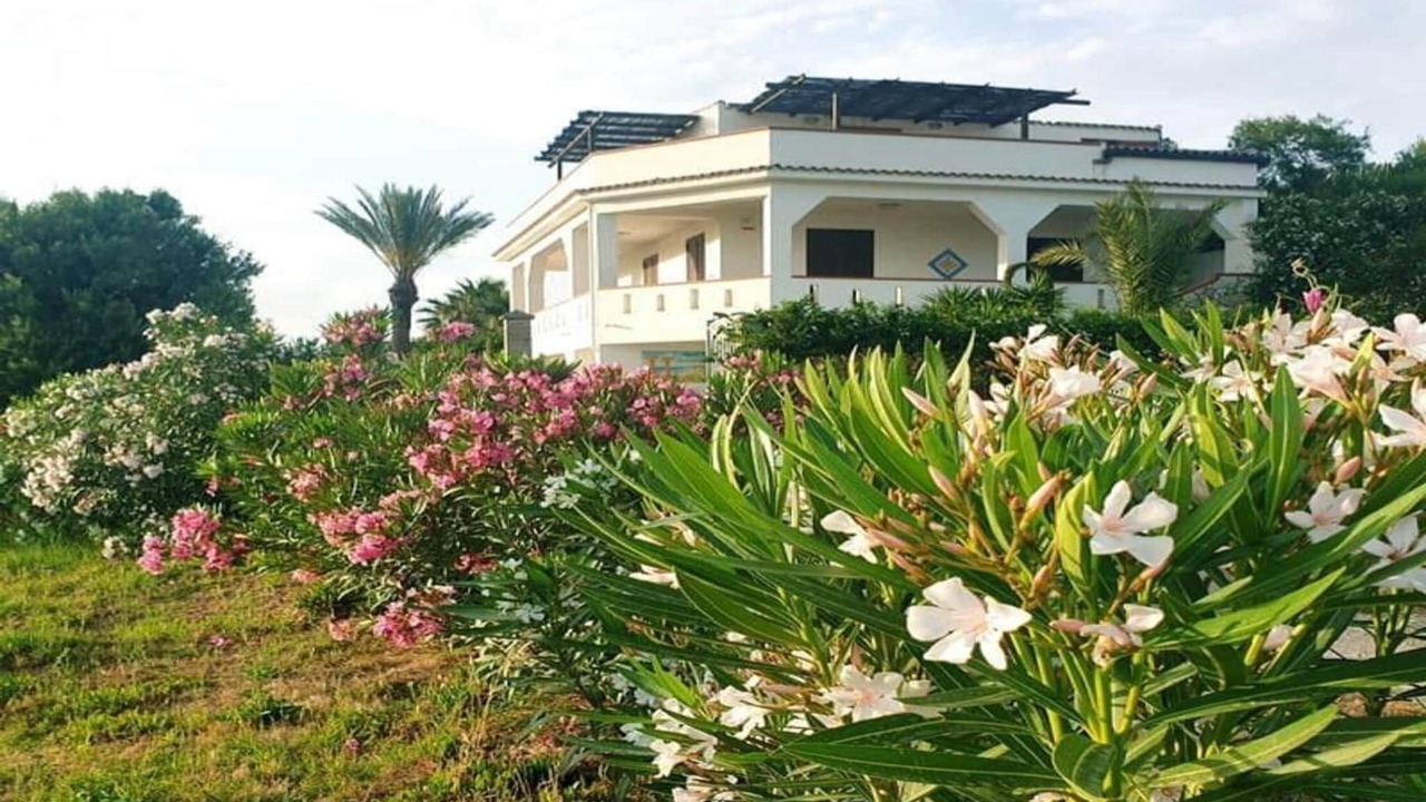 Photo of Others in Marinella di Selinunte