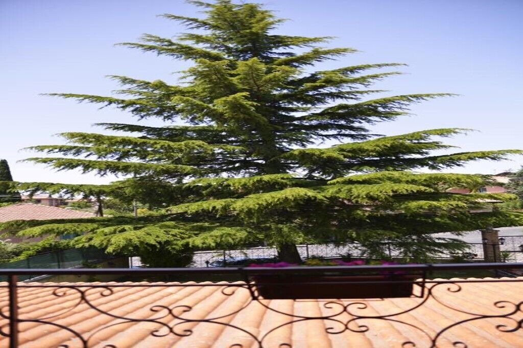 Photo of Outdoor in Mascalucia