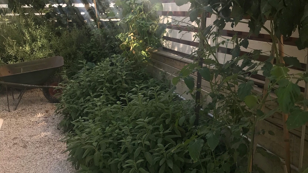 Photo of Outdoor in Seccagrande