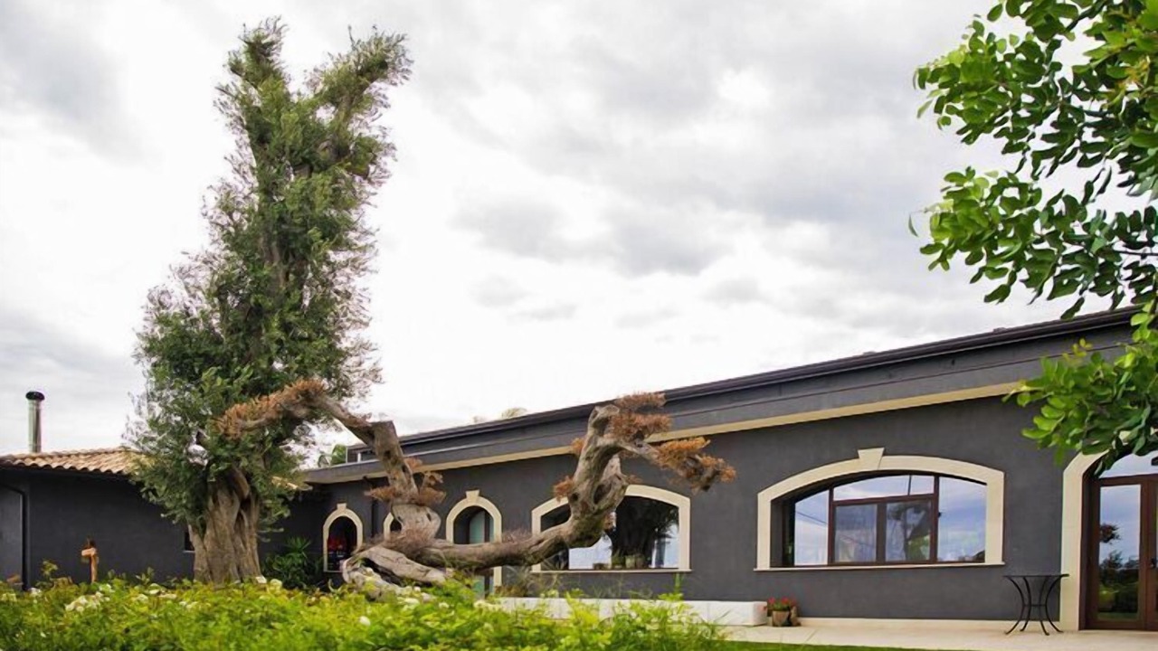 Photo of Outdoor in Santa Venerina