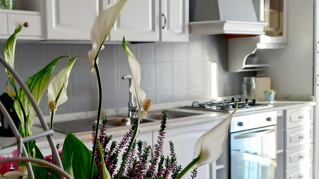 Photo of Kitchen in Macchia