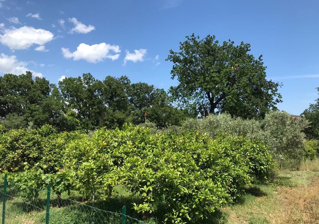 Photo of Outdoor in Belpasso
