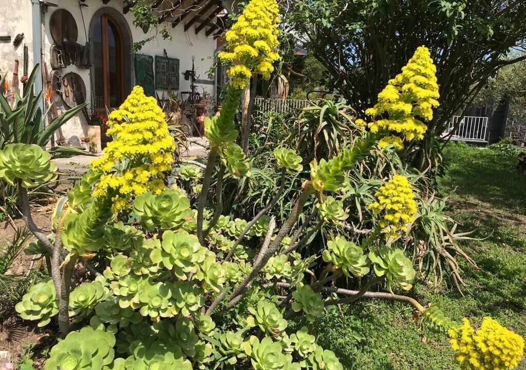 Photo of Outdoor in Belpasso