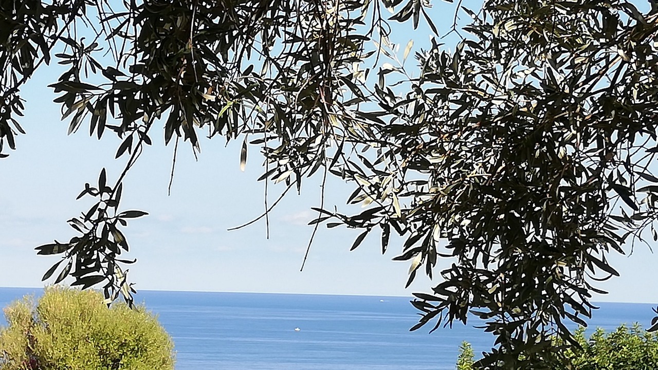 Photo of Others in Terrasini