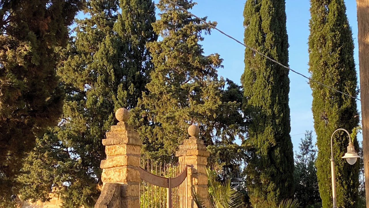 Photo of Outdoor in Partinico