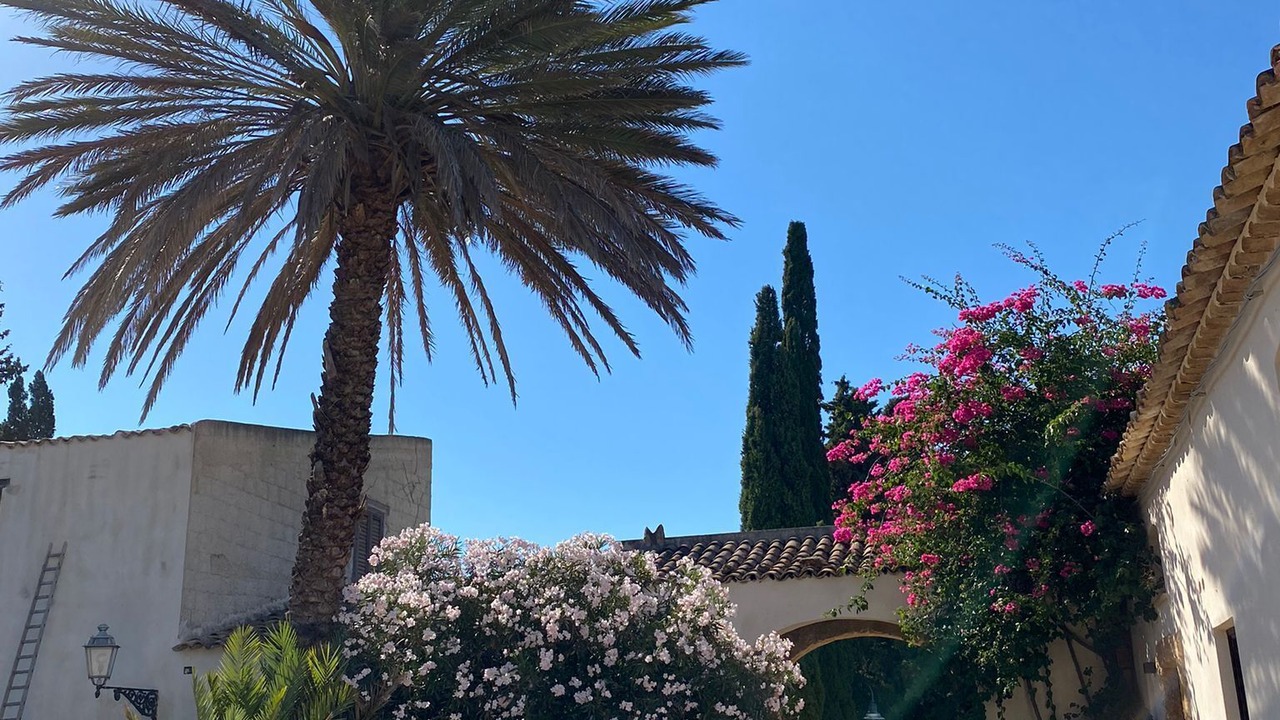 Photo of Outdoor in Partinico
