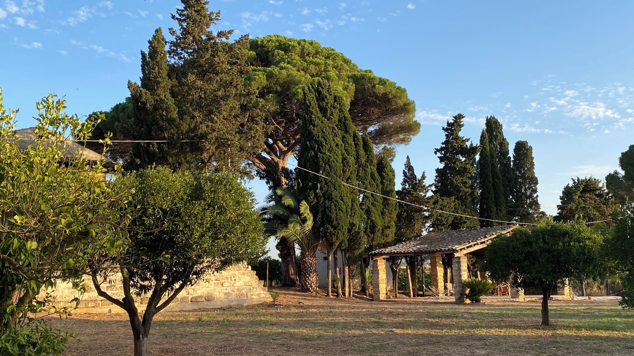 Photo of Others in Partinico