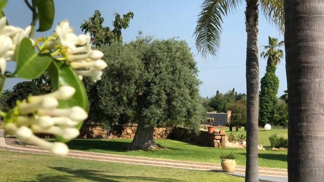 Photo of Outdoor in Floridia