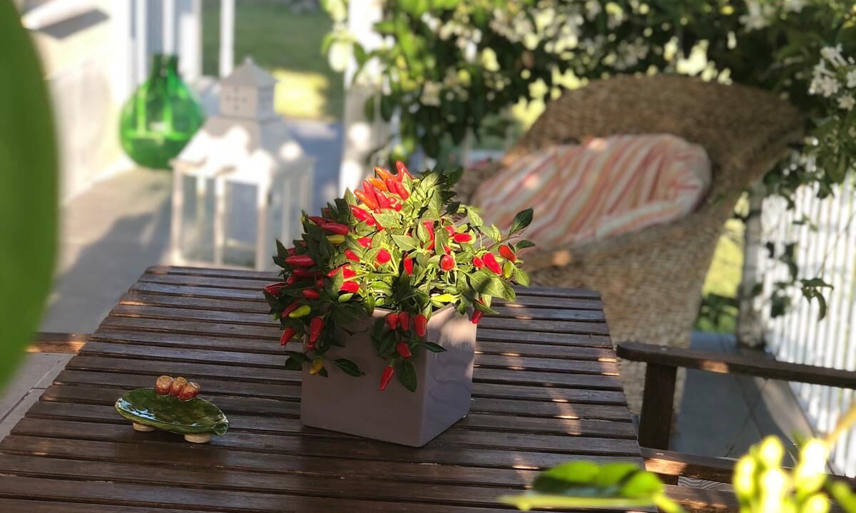 Photo of Outdoor in Floridia