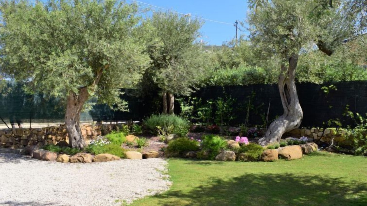 Photo of Outdoor in Capo