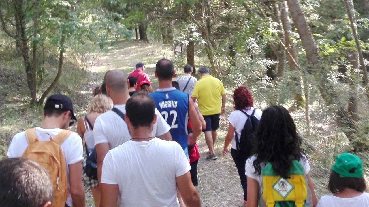Photo of Others in Troina
