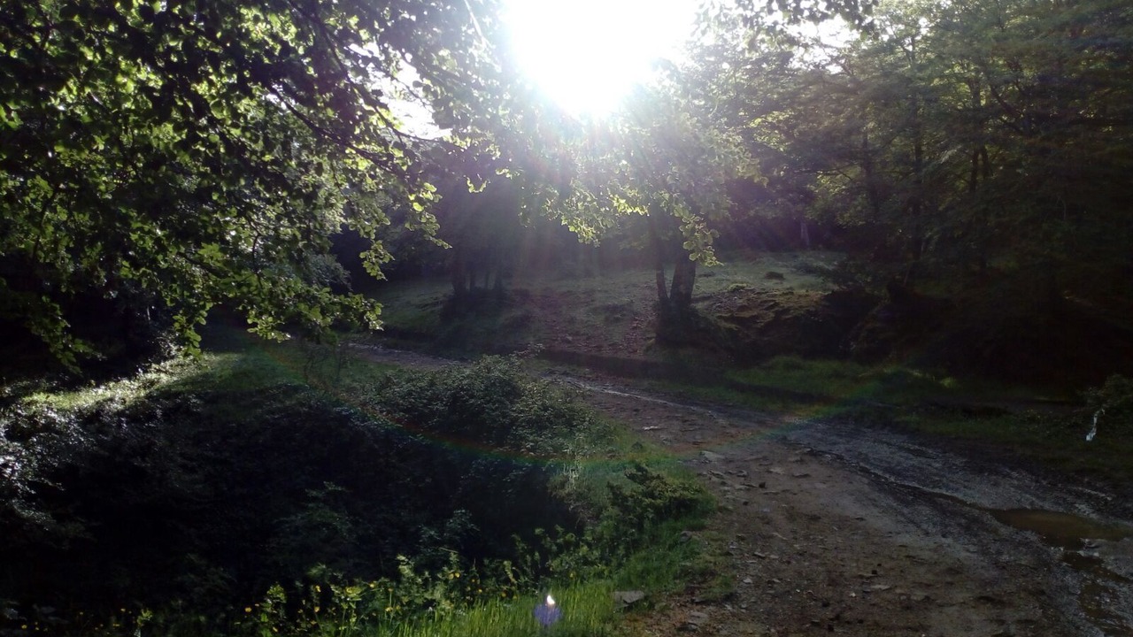 Photo of Outdoor in Troina