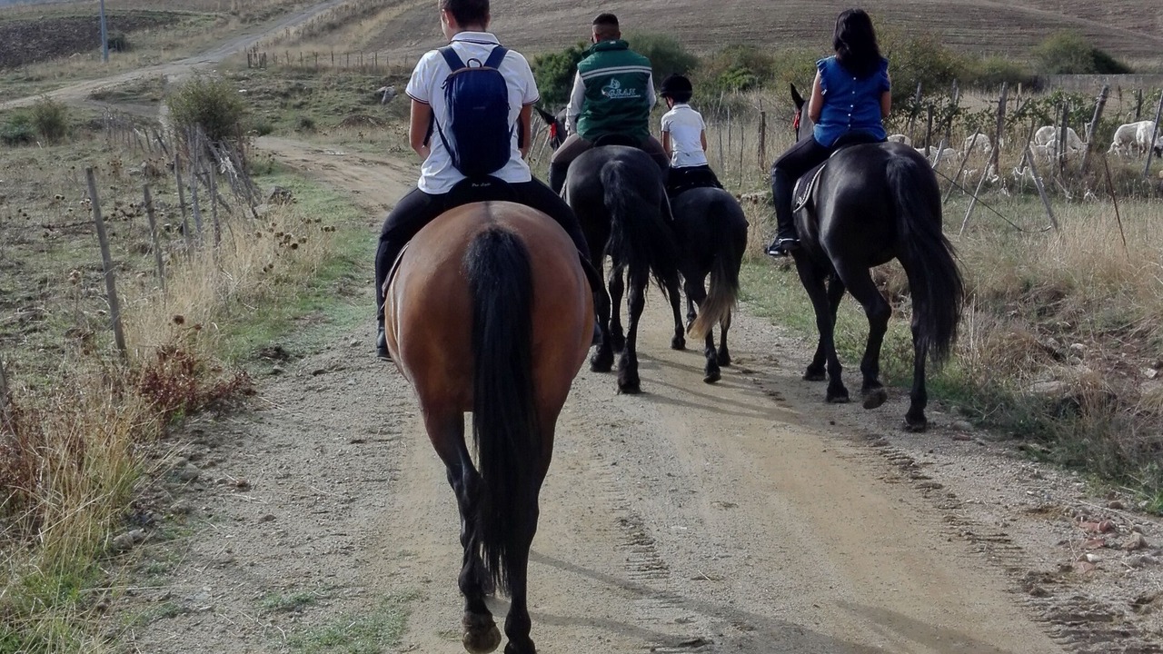 Photo of Others in Troina