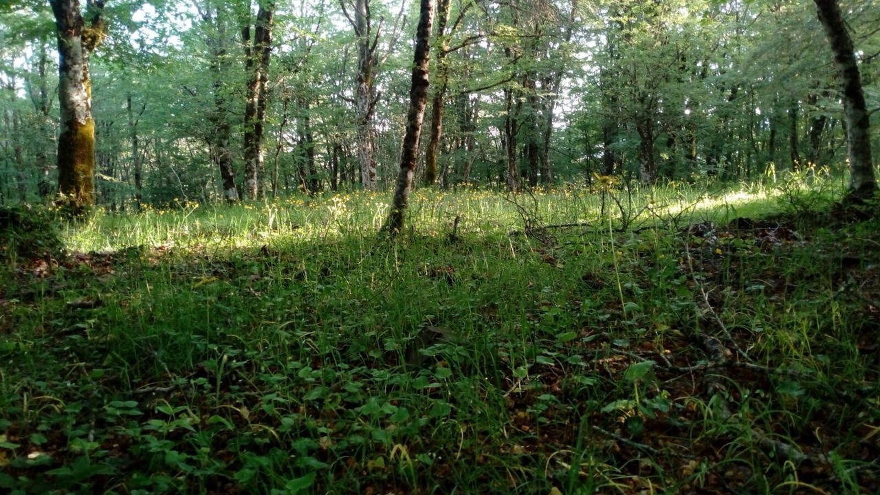 Photo of Outdoor in Troina