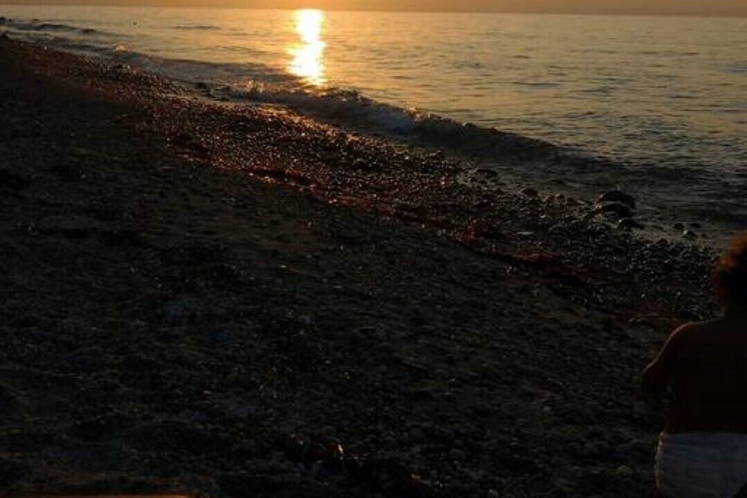 Photo of Others in Acquarone